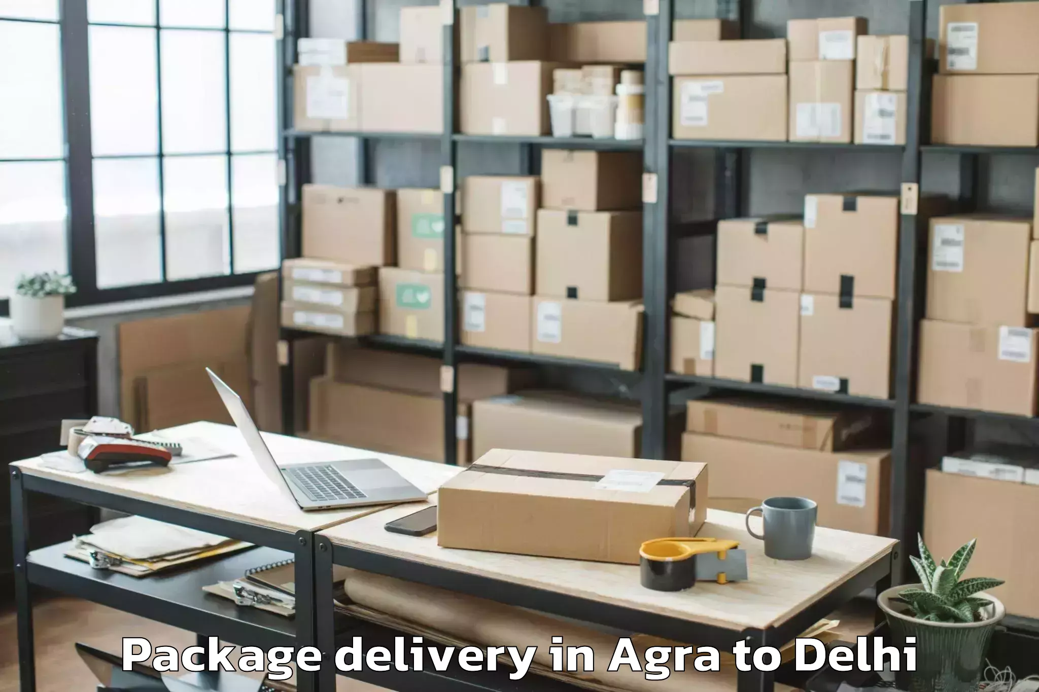 Professional Agra to Naraina Industrial Estate Package Delivery